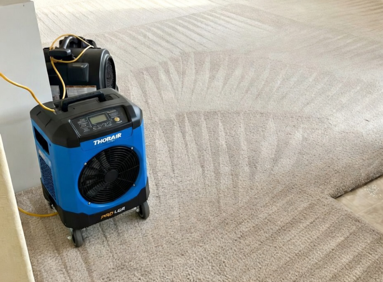 Why Carpet Cleaning Is Essential for Perth Homes